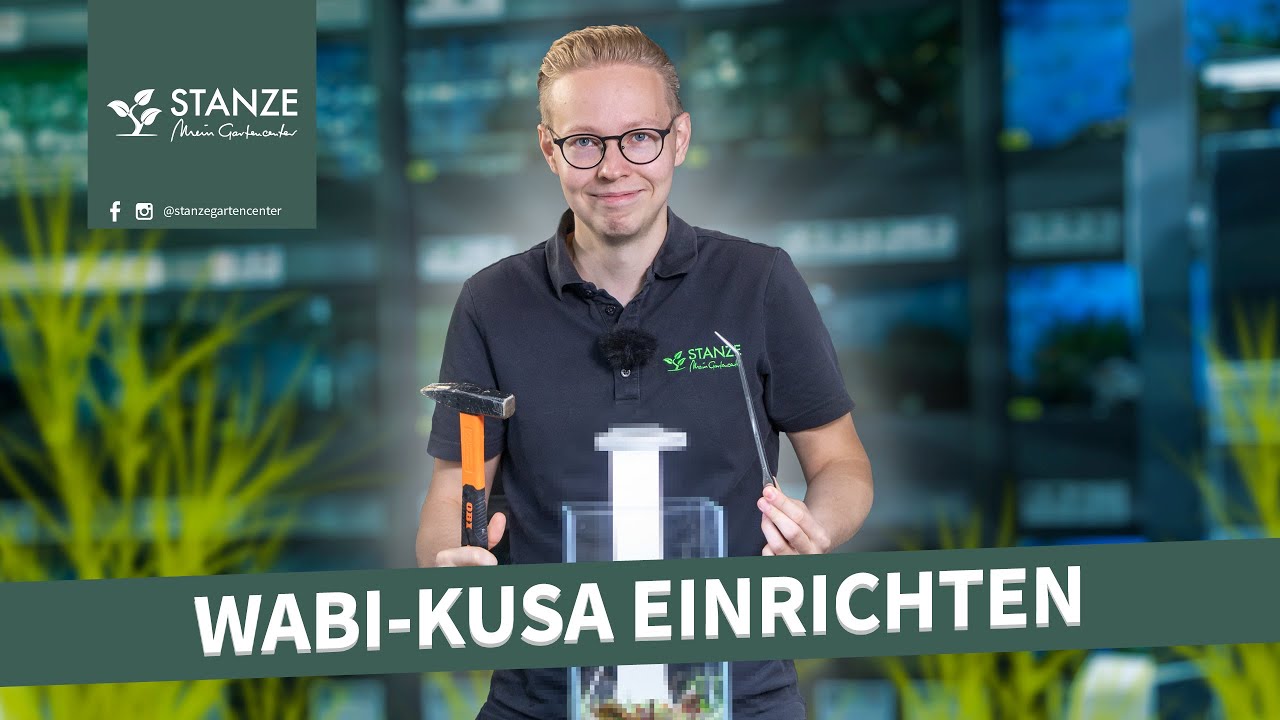 Wabi-Kusa mit Wasserpflanzen einrichten | DIY