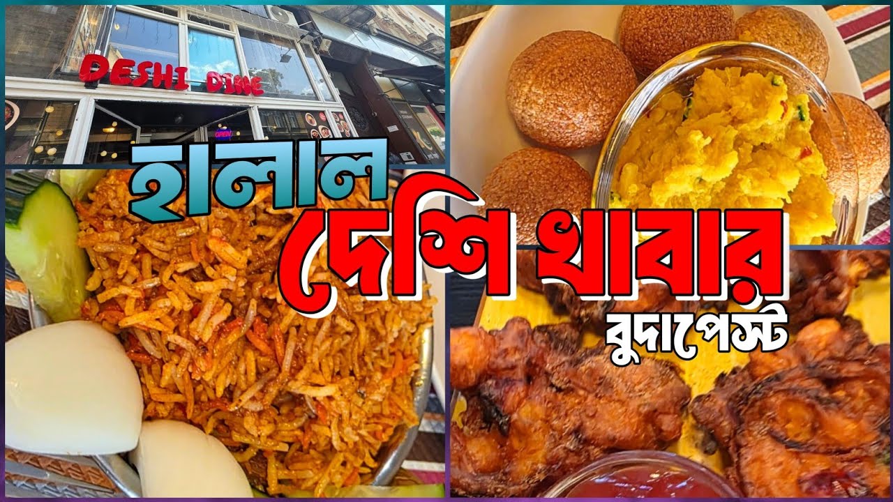 Halal Food in Budapest || বুদাপেস্টে দেশি খাবার কোথায় পাবেন?