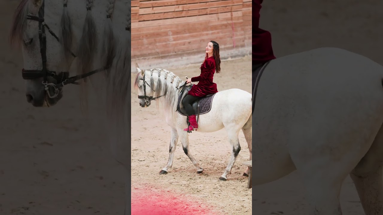 Jeudis du Haras 2025