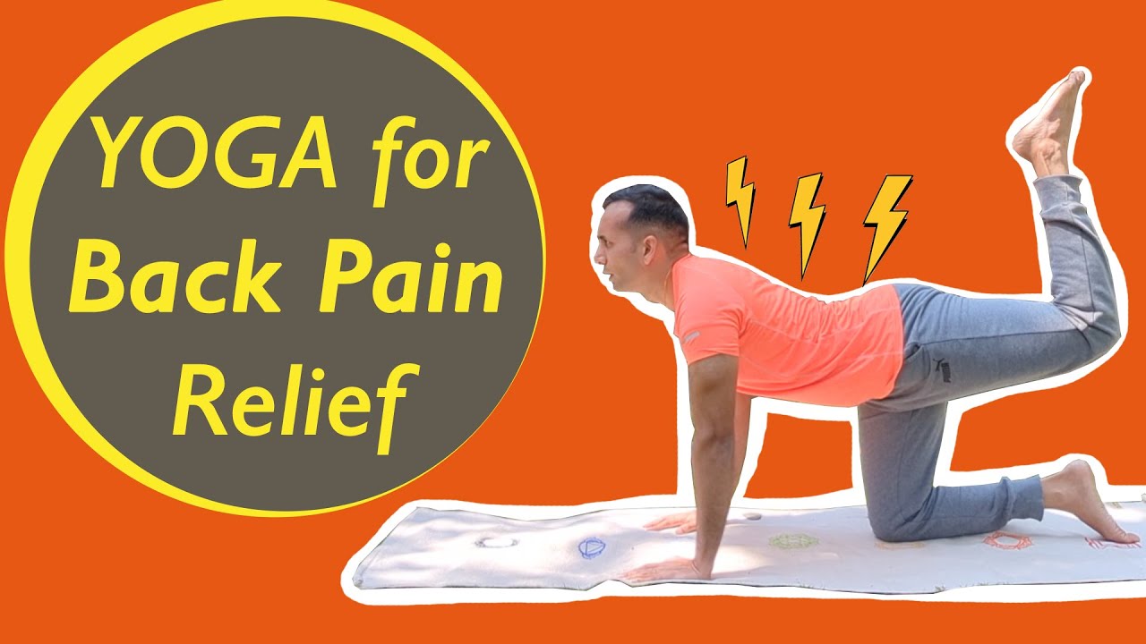 Daily Yoga for Back Pain Release | Sri Sri Yoga | Mayur Karthik