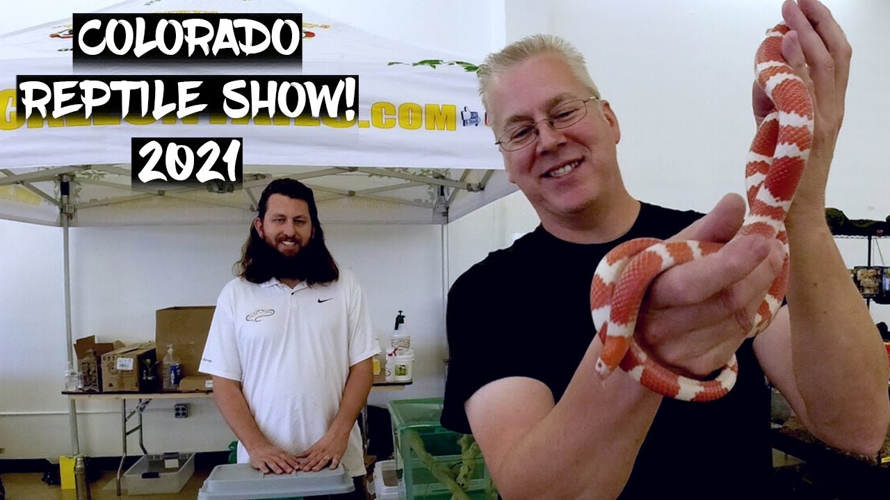 The 2021 'Colorado Reptile Show' in Colorado Springs, Colorado!