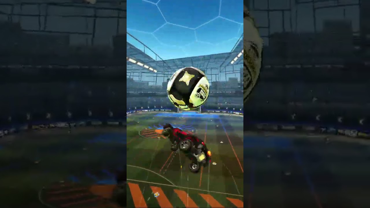 TURTLE CROSSMAP POGO | 