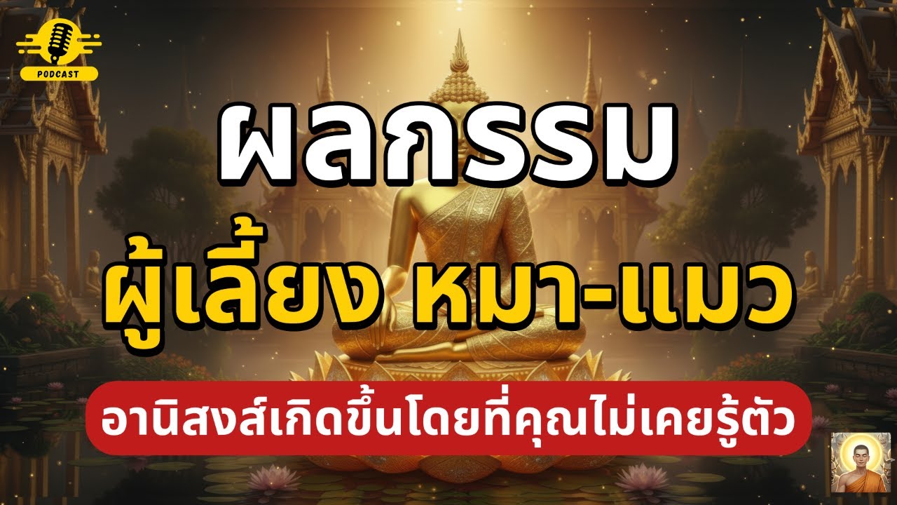 ผลกรรม การเลี้ยงหมาแมว อานิสงส์เกิดขึ้นโดยที่คุณไม่เคยรู้ตัว | ชีวิตติดธรรม
