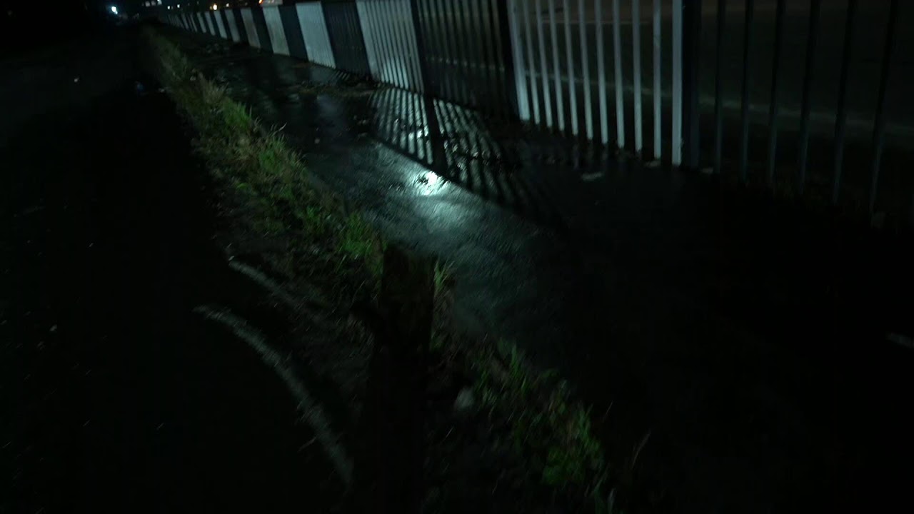 | Live Wedding Ceremony | Raveena Weds Dhruv | Rupindera Studio | M.99153-88505