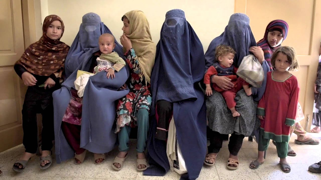 Svenska Afghanistankommitténs verksamhet