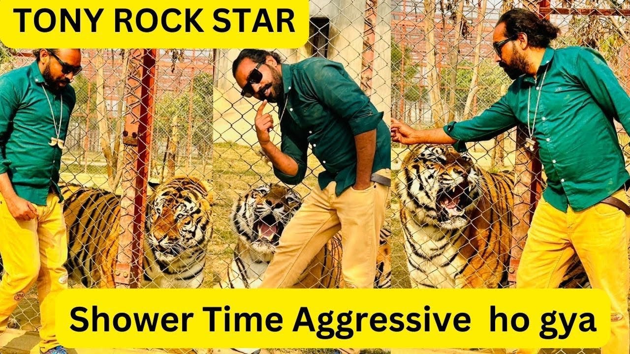 Bengal Tiger Bath today and Tiger is aggressive during Shower | Shero Ka Badshah | Asif shero wala