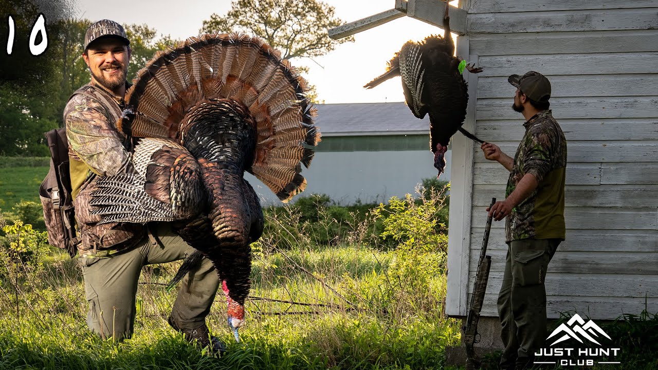 Turkey Hunting the Hardwoods of New York