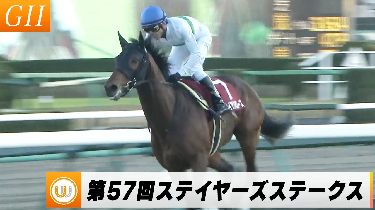 【2023】ステイヤーズステークス（GII） 中山競馬場11R｜ウイニング競馬 2023年12月2日（土）