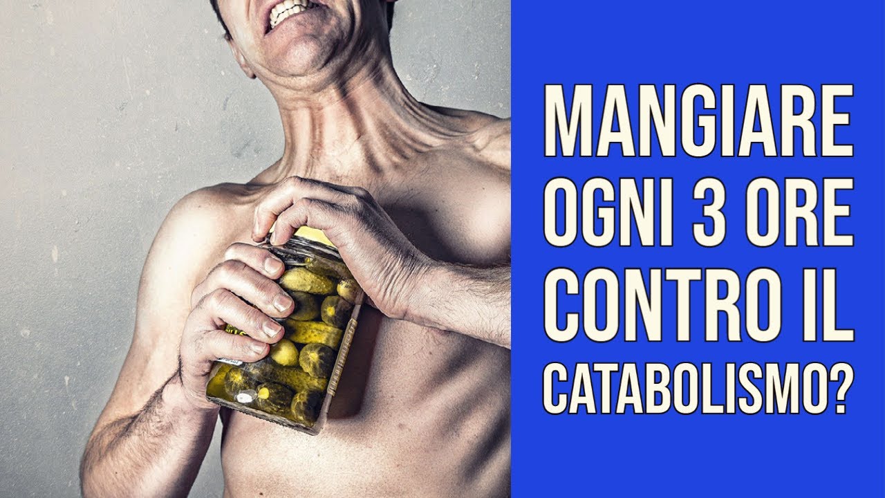 Mangiare Ogni 3 Ore per Contrastare il CATABOLISMO?