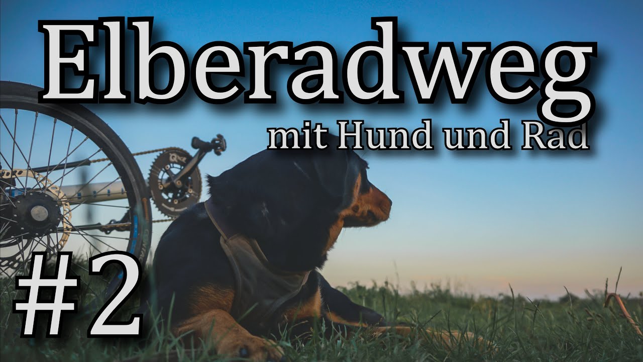 #2 zwischen Entspannung und Blut vergie&szlig;en / mit Hund und Rad auf dem Elberadweg Hamburg-Tschechien