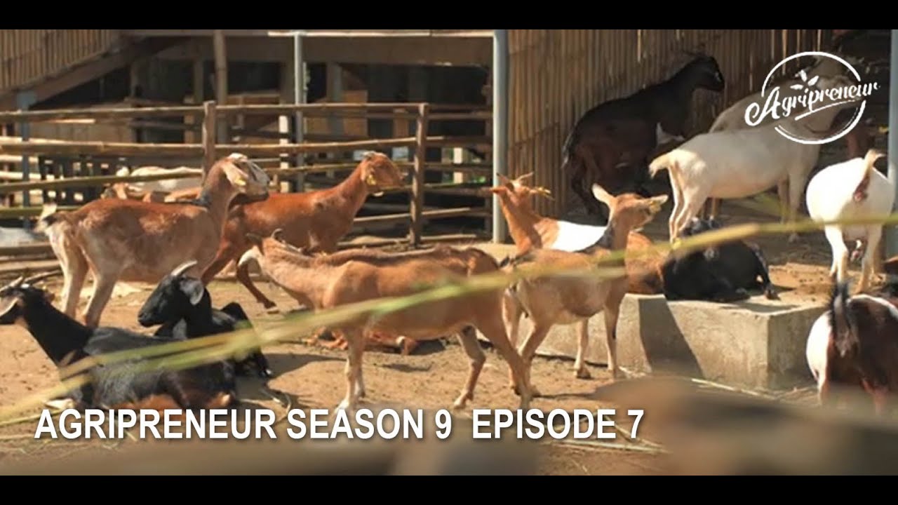 AgriPreneur Season 9 Episode 7