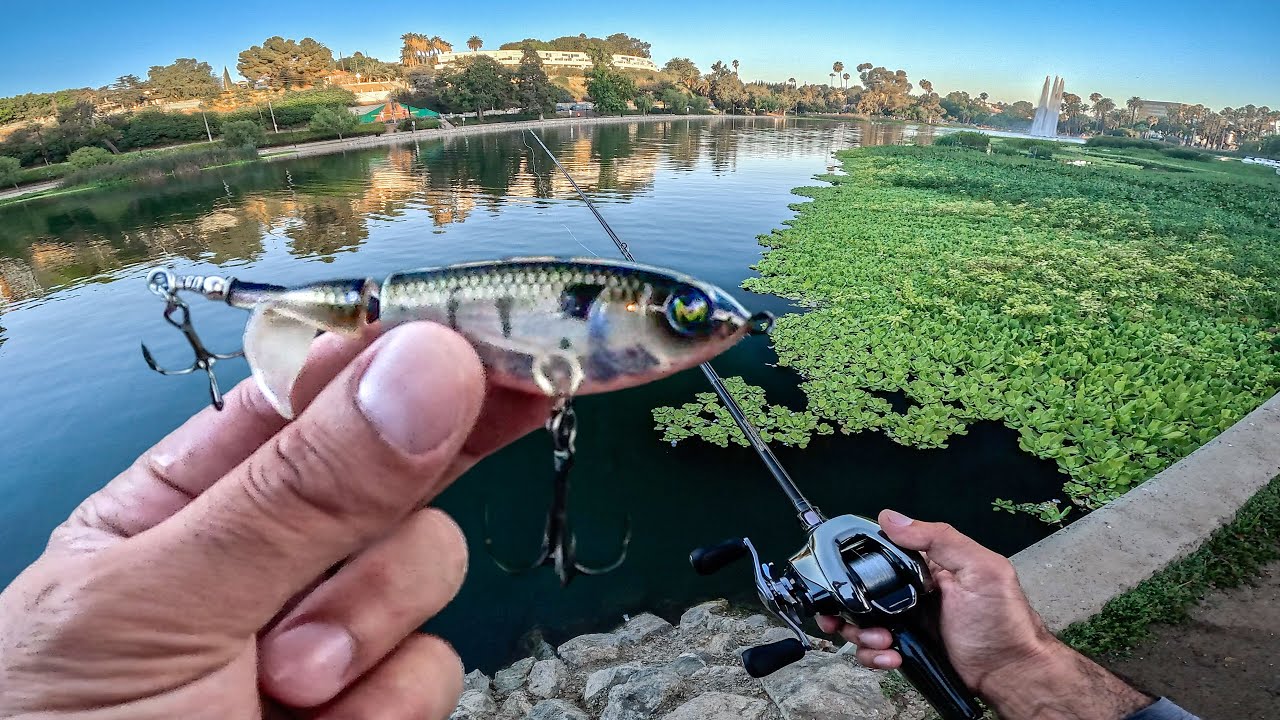 Fishing a Whopper Plopper for BIG Bass in Downtown Los Angeles !