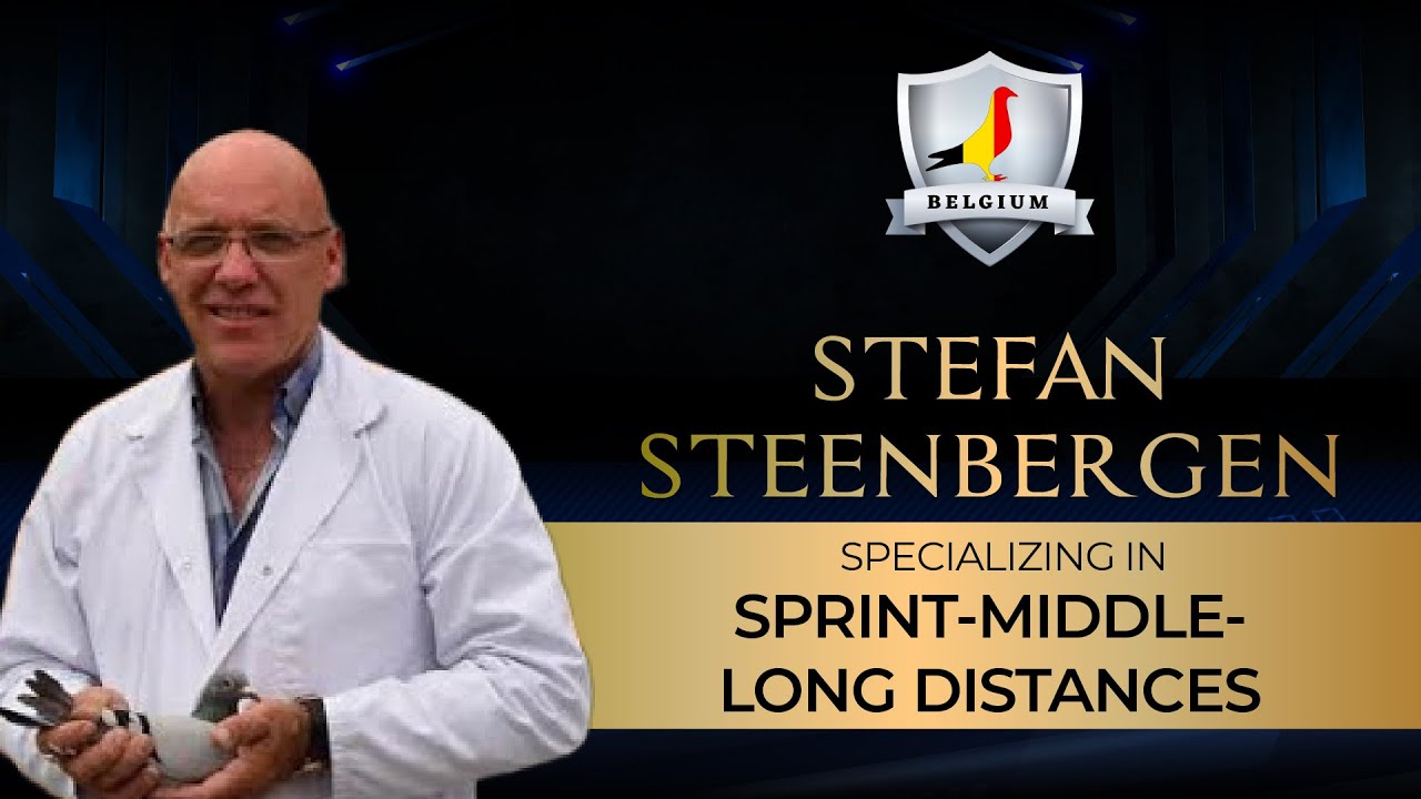 STEFAN STEENBERGEN-BELGIUM FEPA PIGEON LOFT TOUR (2023)
