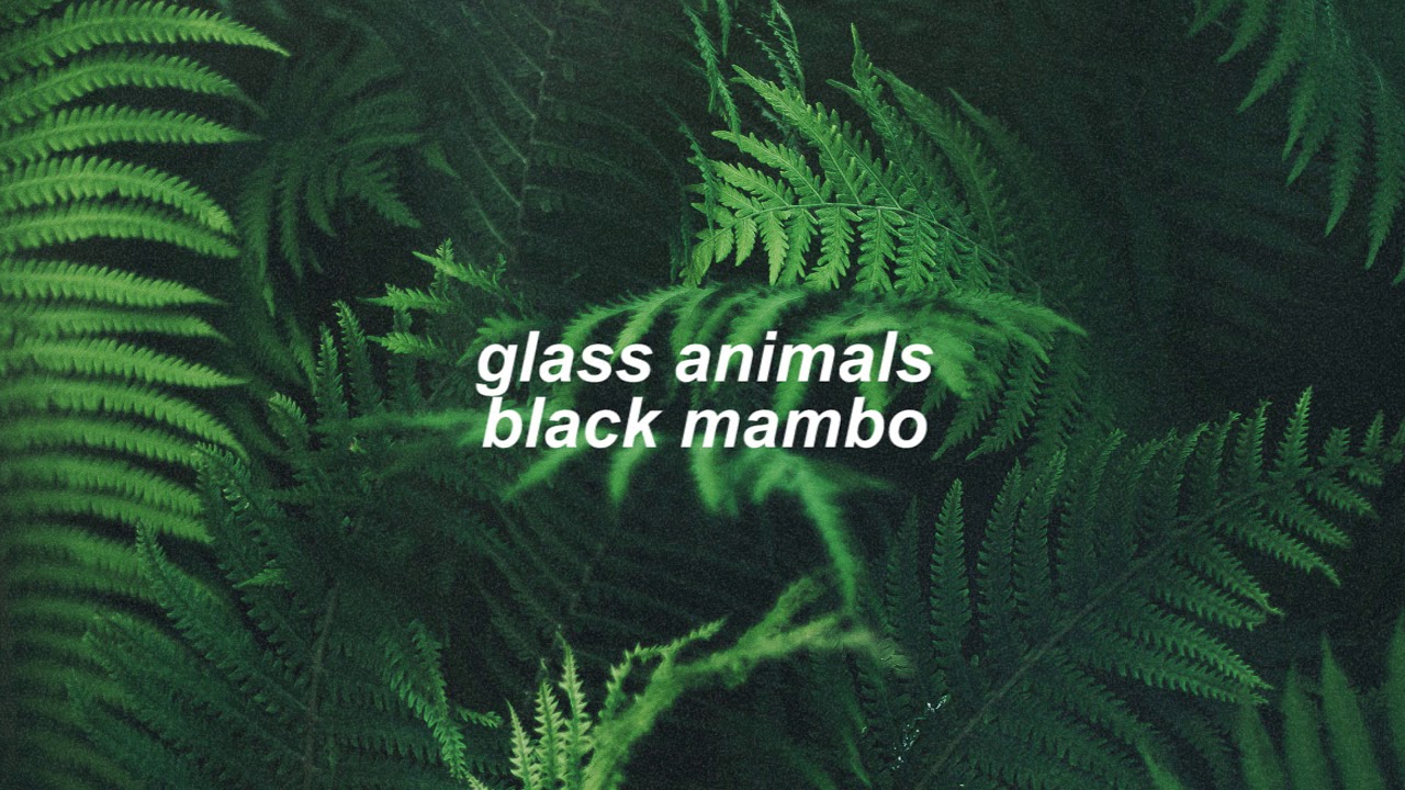 glass animals - black mambo (slowed + reverb)