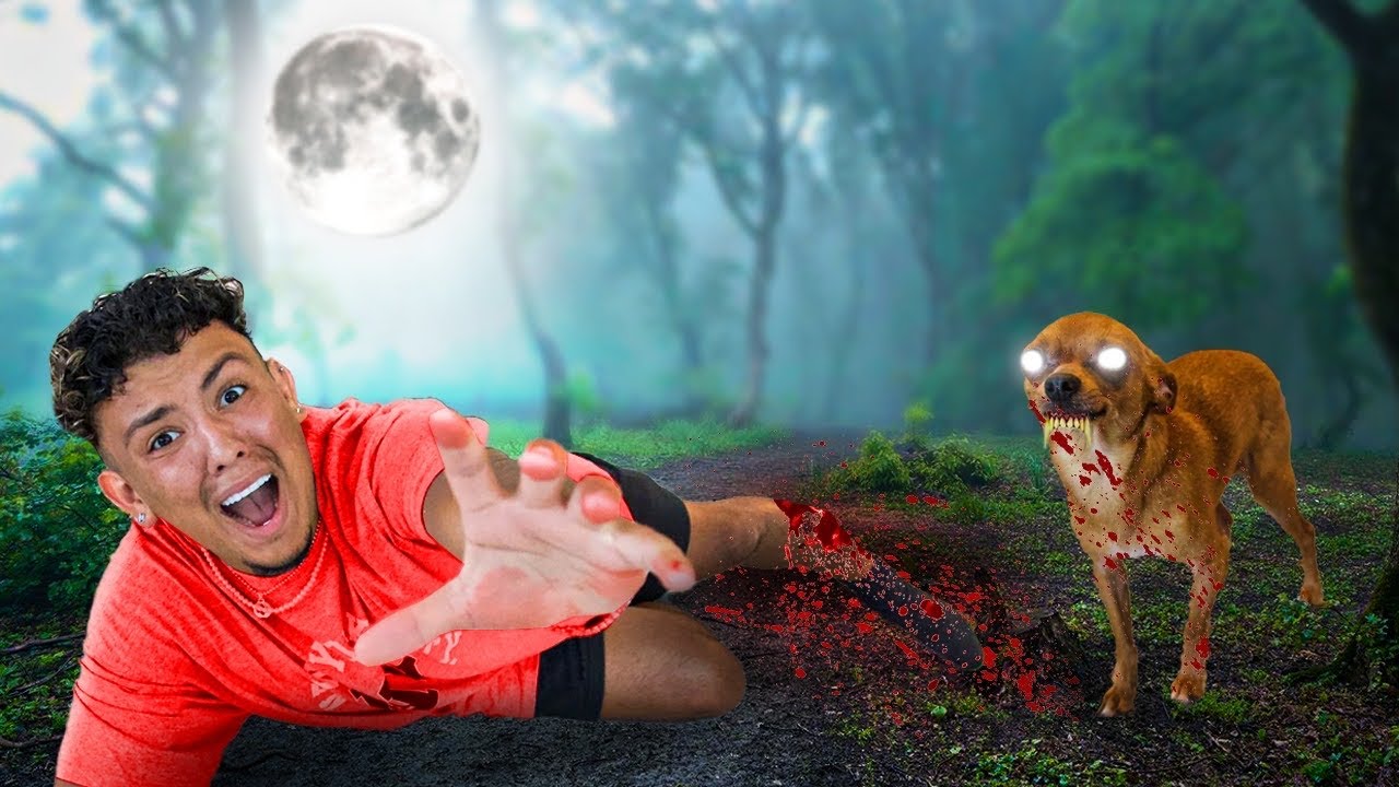 MY DOG TURNED INTO A WEREWOLF!!!