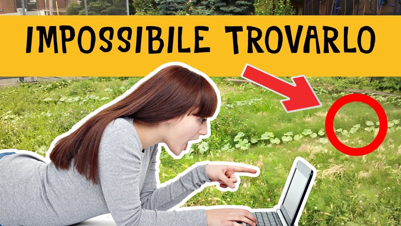 E' QUASI IMPOSSIBILE TROVARLO! - Solo il 5% li trova tutti
