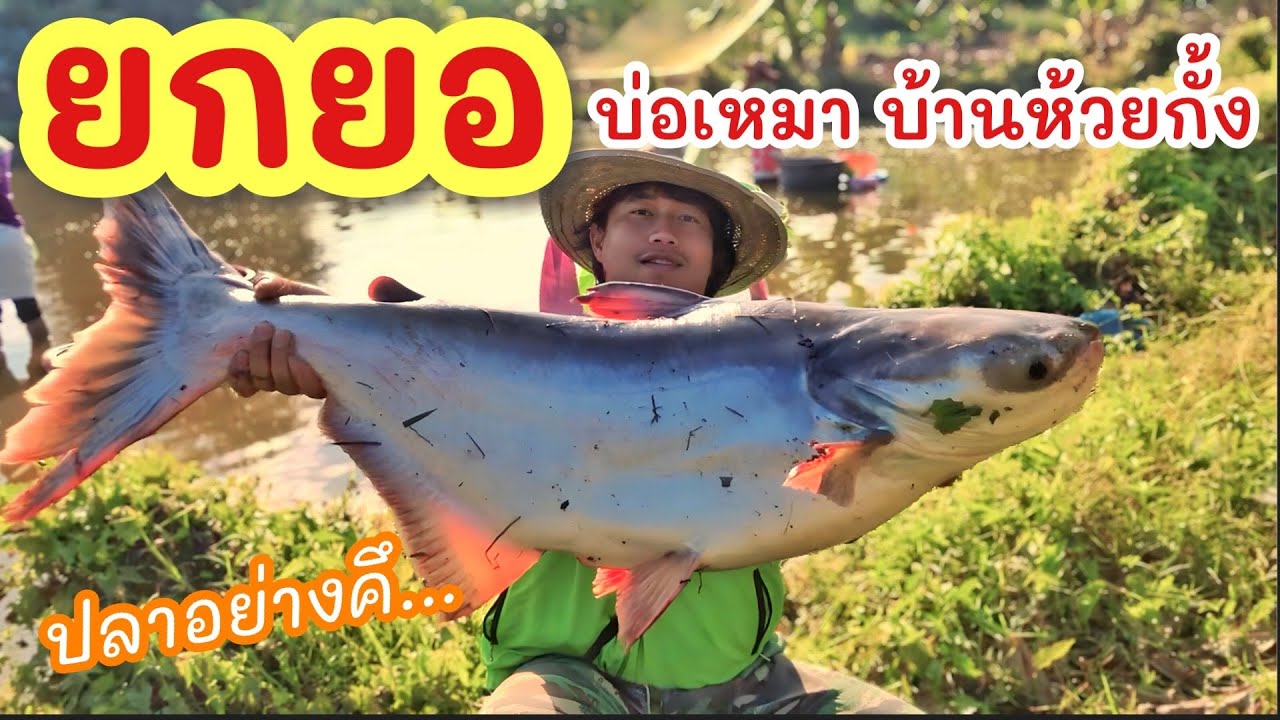 ยกยอ สระเหมาบ้านห้วยกั้ง ►Fishing lifestyle Ep.712
