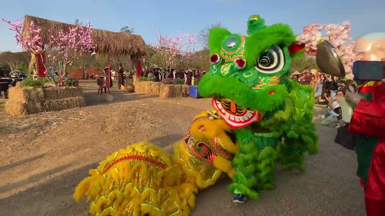 Múa lân - Lễ hội ẩm thực - Làng Mai 2026
