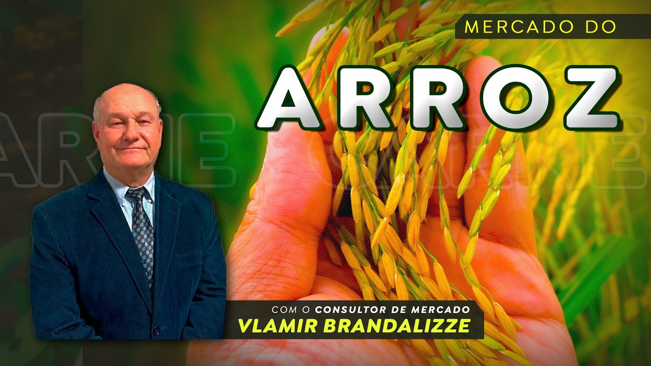 Arrozeiros podem enfrentar frete caro e oferta limitada; Vlamir Brandalizze avalia.
