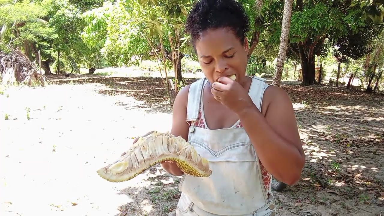 #Mas uma delícia do sítio #jaca #vidanaroça#compartilhe #engajamento #viralvideo #feed #viral#sitio