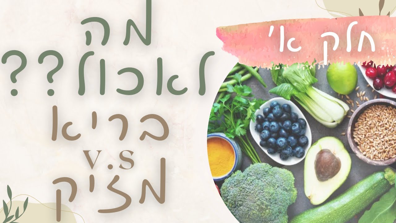 מהו אוכל מזיק ומהו אוכל מזין? מה, איך, כמה ומתי לאכול (חלק א׳)