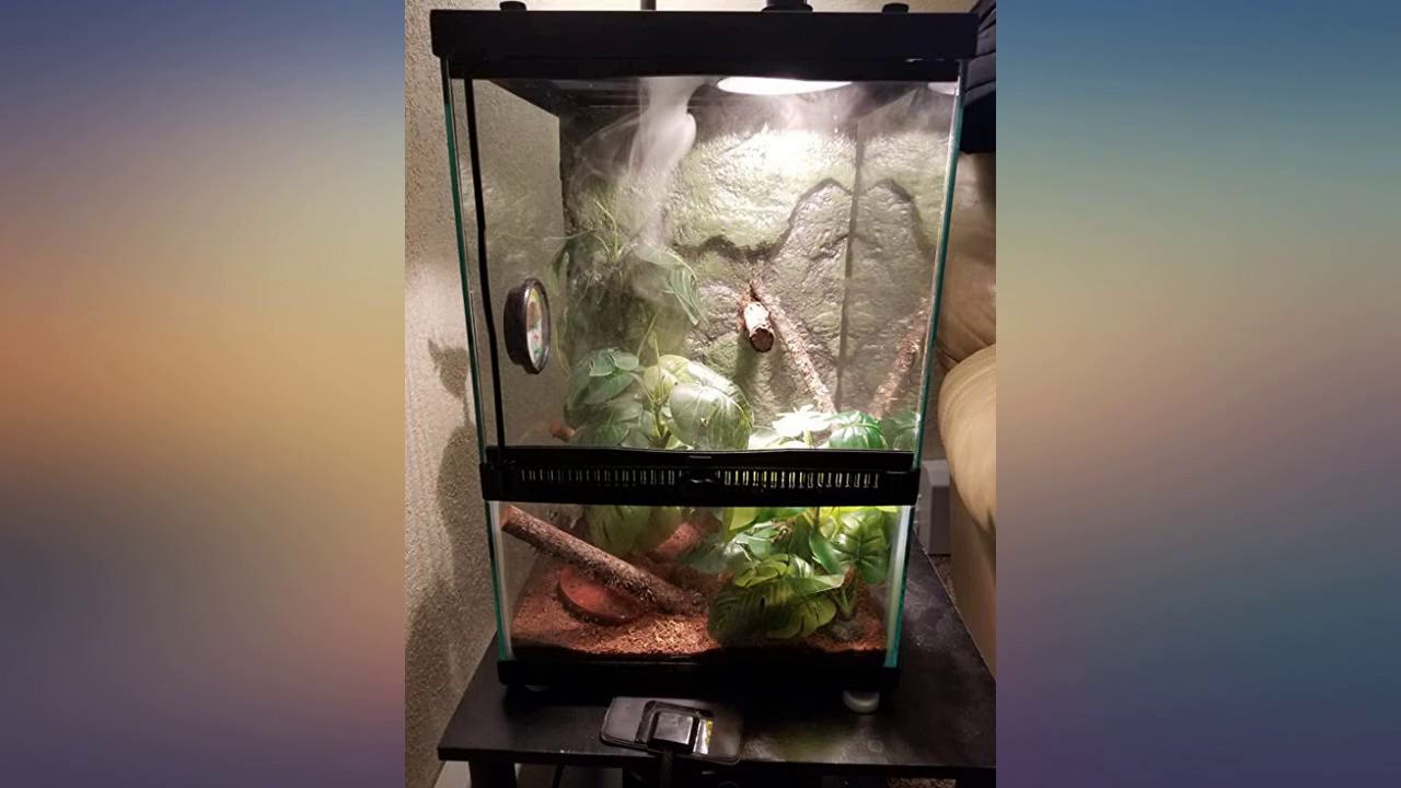Zoo Med Reptifogger Terrarium Humidifier review