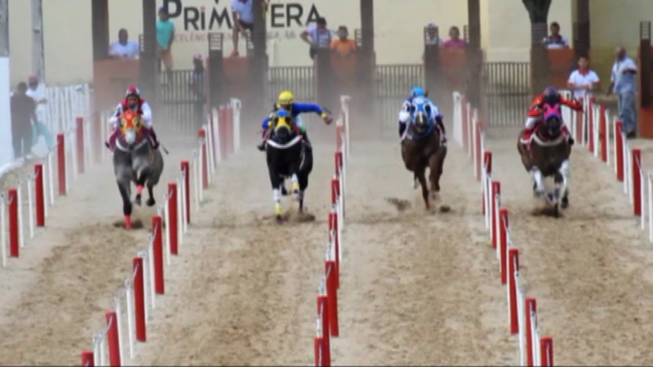 1 Páreo  Clas. XI GP Haras Primavera - Canindé - Ceará -  16, 17 e  18 de Março de 2018