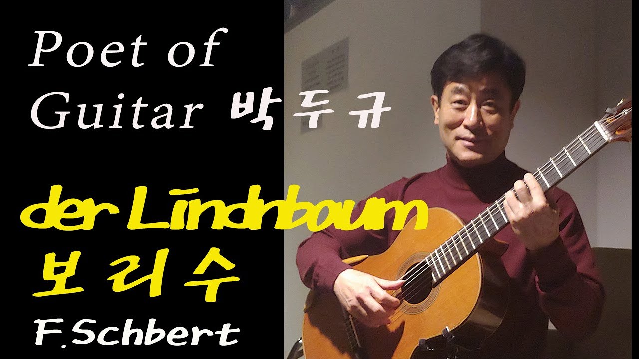 lindenbaum (schubert) 보리수 클래식기타,/classical guitar 'Poet of guitar'