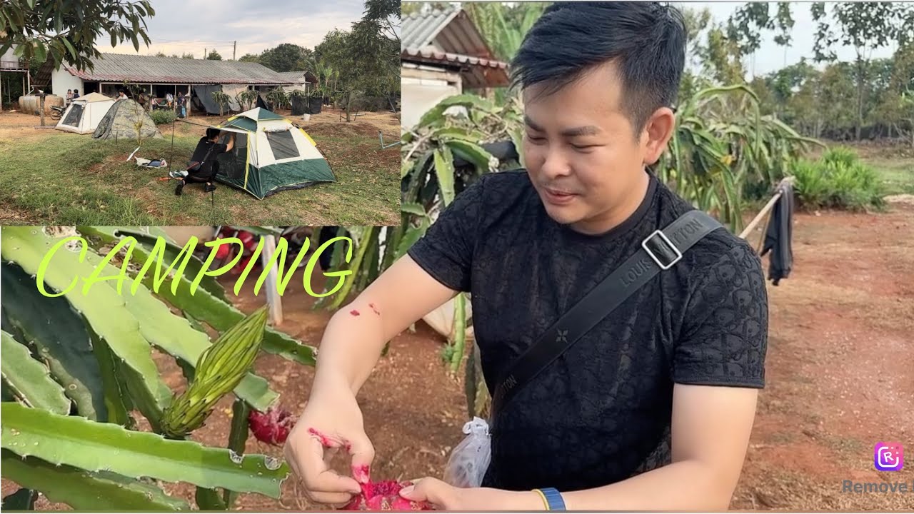 បោះតង់នៅចំការទុរេន Camping In The Farm, At Saraburi, Thailand