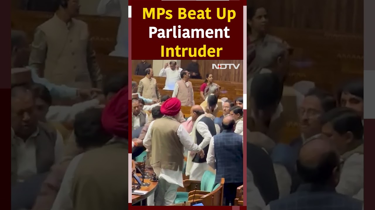 Parliament Security Breach: MPs Beat Up Parliament Intruder