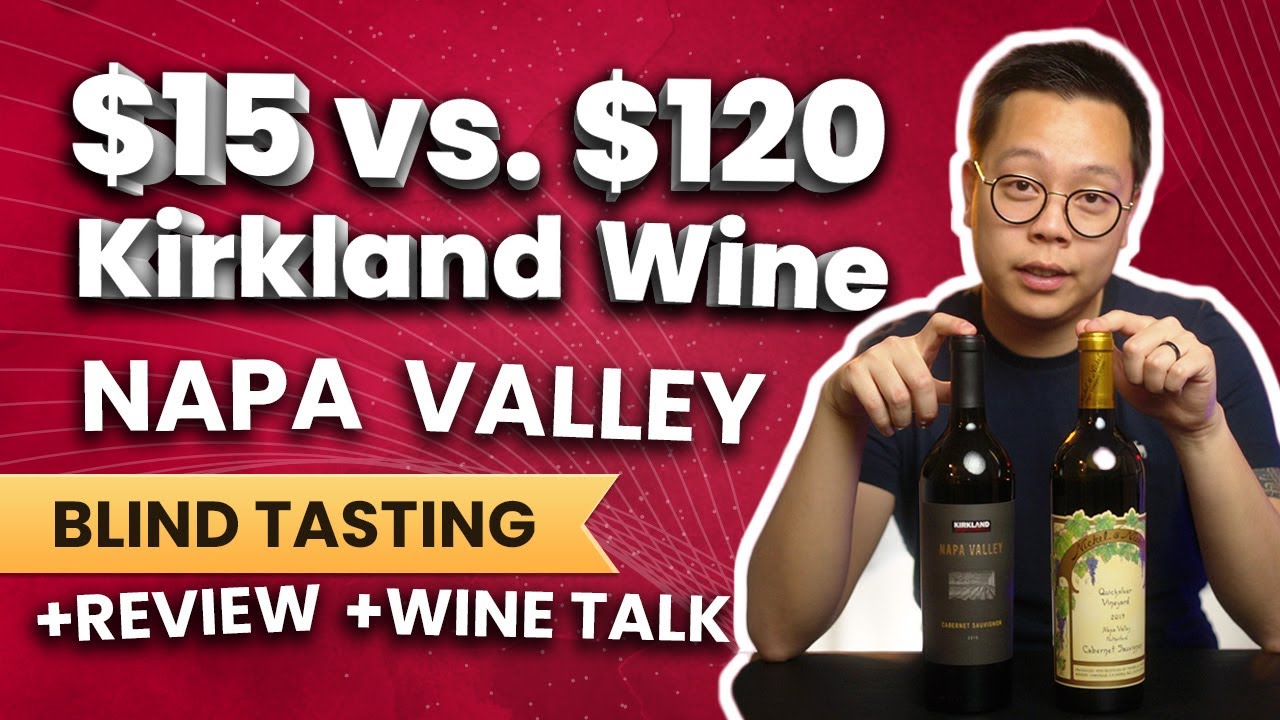 Wine Tasting $15 Cheap Costco vs $120 Expensive Napa Valley Wine | Wine Verdict
