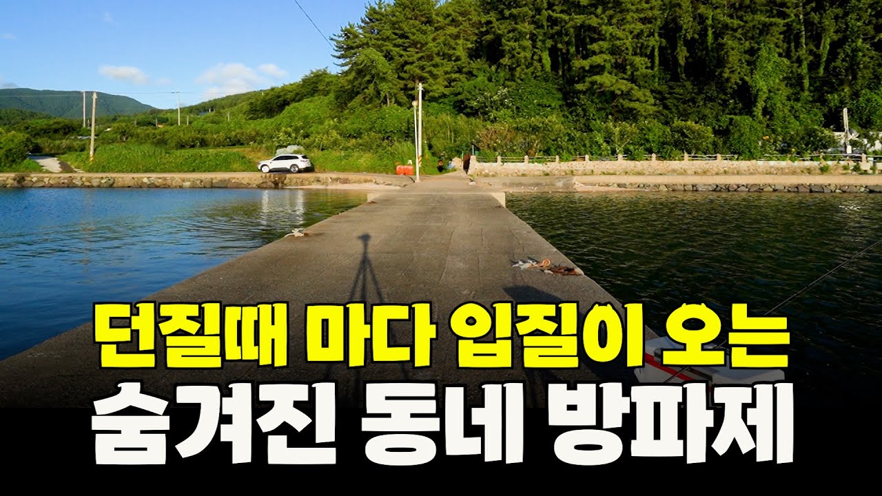 10번 던지면 15마리가 잡히는 