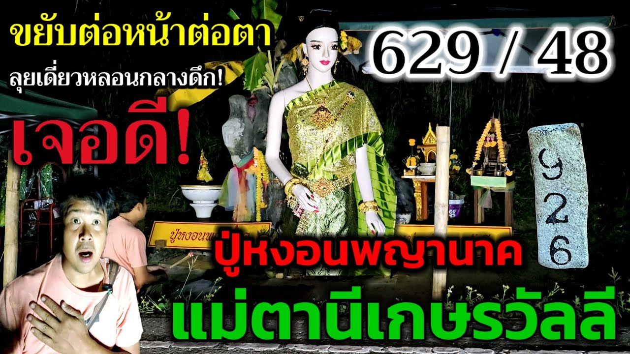 629/48 สุดปัง..เจอดี!#หลอน กลางดึก!#ปู่หงอนพญานาค#แม่ตานีเกษรวัลลี ขยับเองต่อหน้าต่อตา 16 ก.พ.69