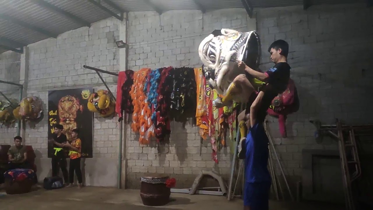 Tập Luyện Lân Ngũ Tổ ( Sói Trắng ) Dinh Trấn Võ _ Lân Sư Rồng Đà Nẵng Quảng Nam 0764522264