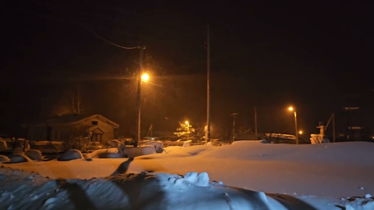 15 февраля 2026 год