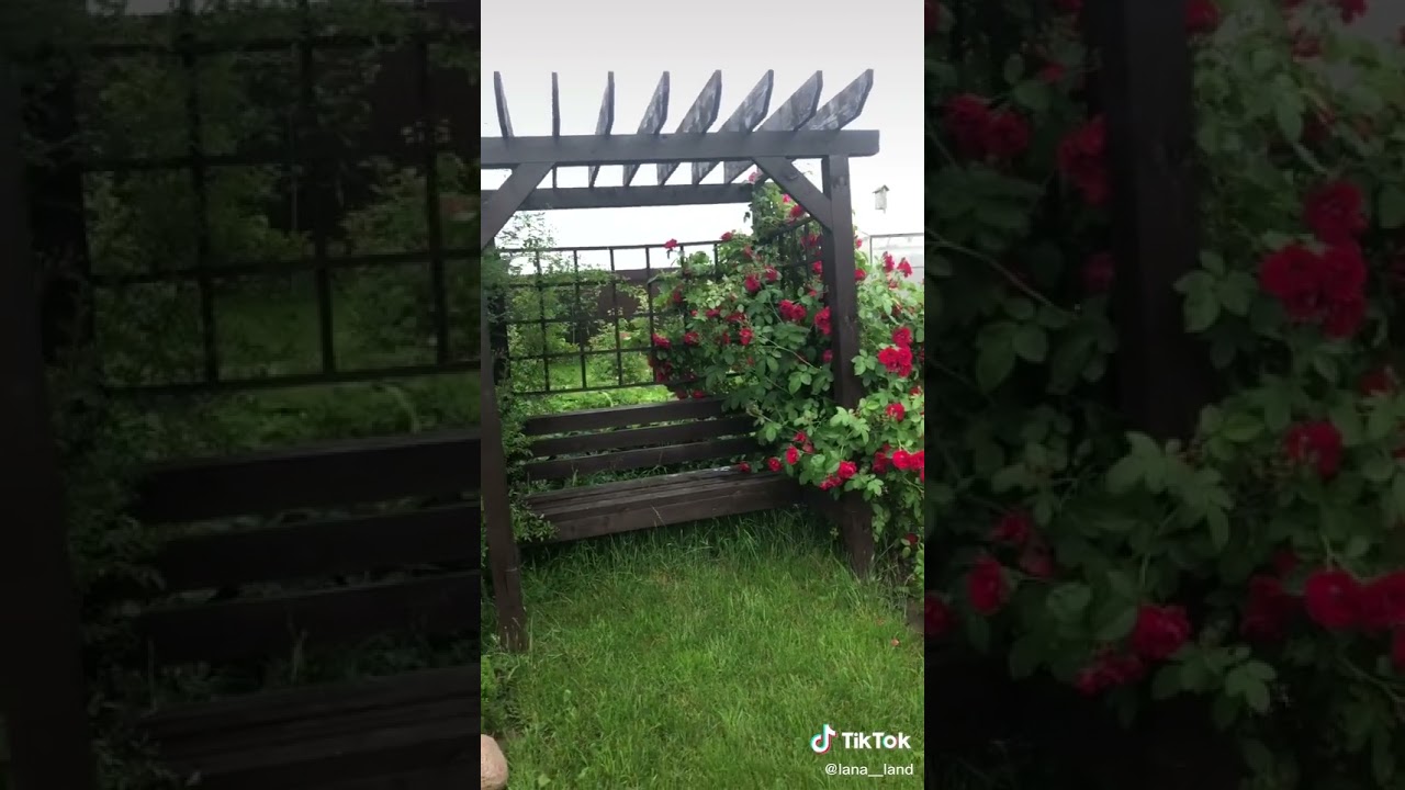 Пергола в ландшафтном дизайн.#flores #naturaleza #plantas #belleza #waxzedam