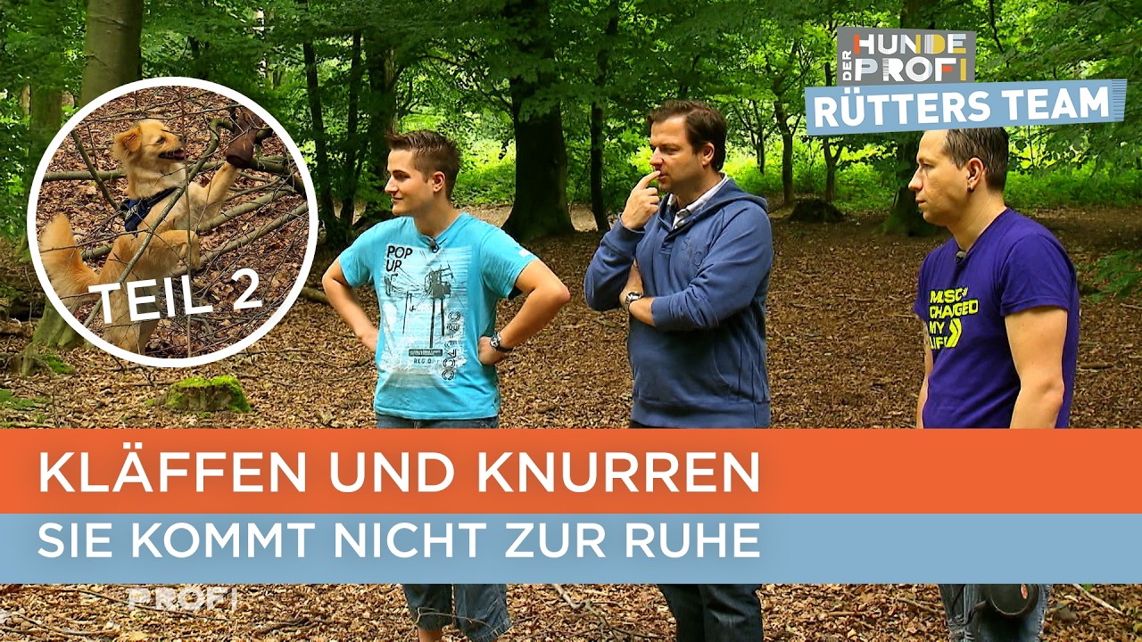 Sie ist nicht ausgelastet!😳 - Teil 1 | Der Hundeprofi | Archivvideo