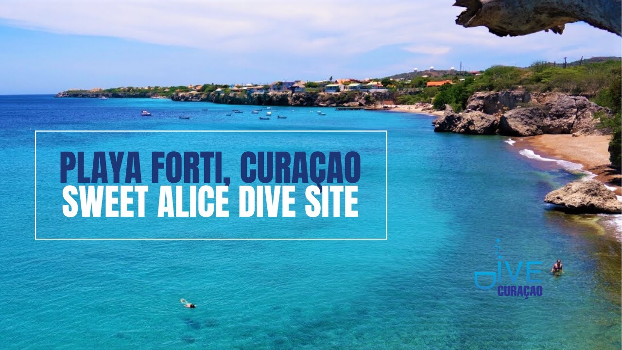 Curacao Dive Site Guide | Playa Forti | Dive Curacao Travel Vlog