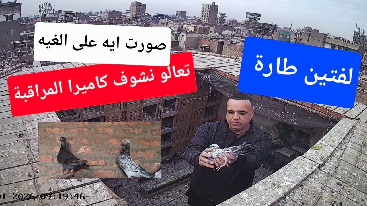 لفتين طارة فردين من العيار التقيل تعالو نتفرج 