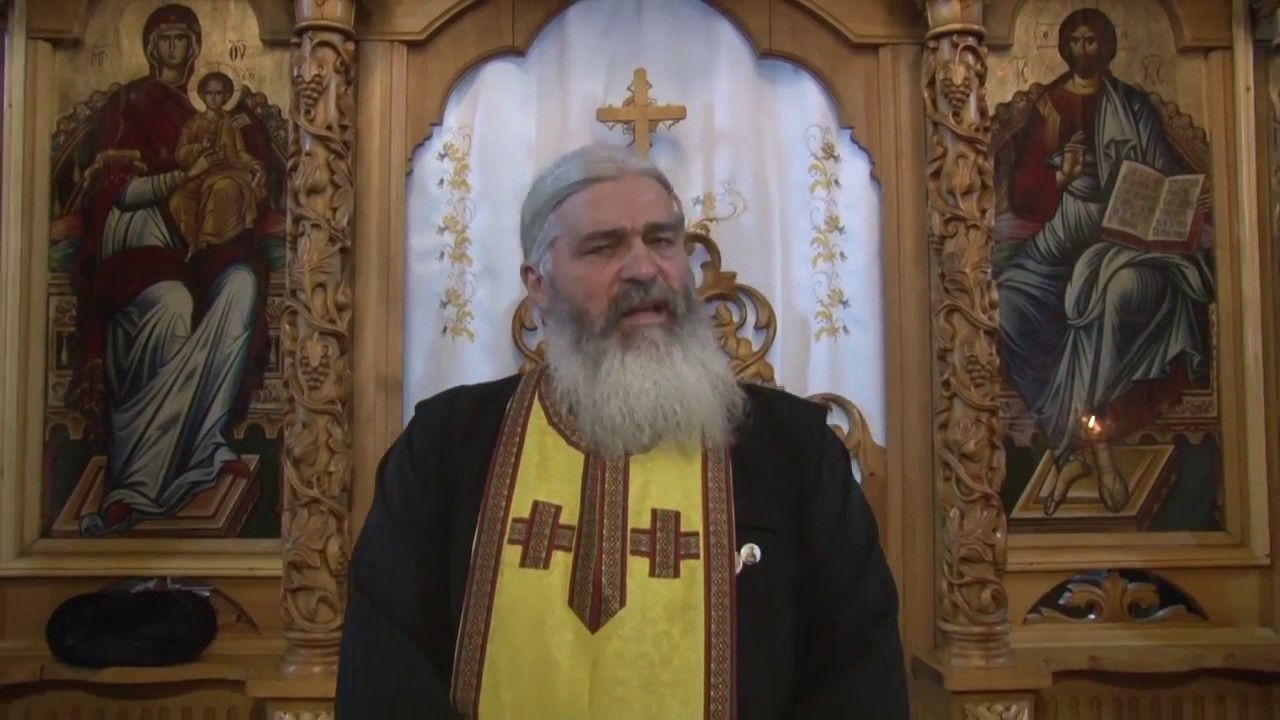 Vindecarea demonizatilor din Gadara - 9 iulie 2017 - Parintele Calistrat