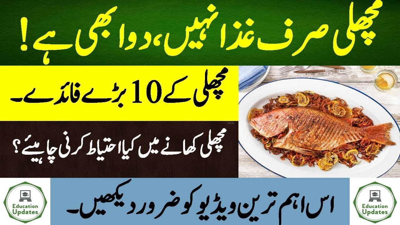 Benefits of Eating Fish | 10 Important Benefits | By Education Updates