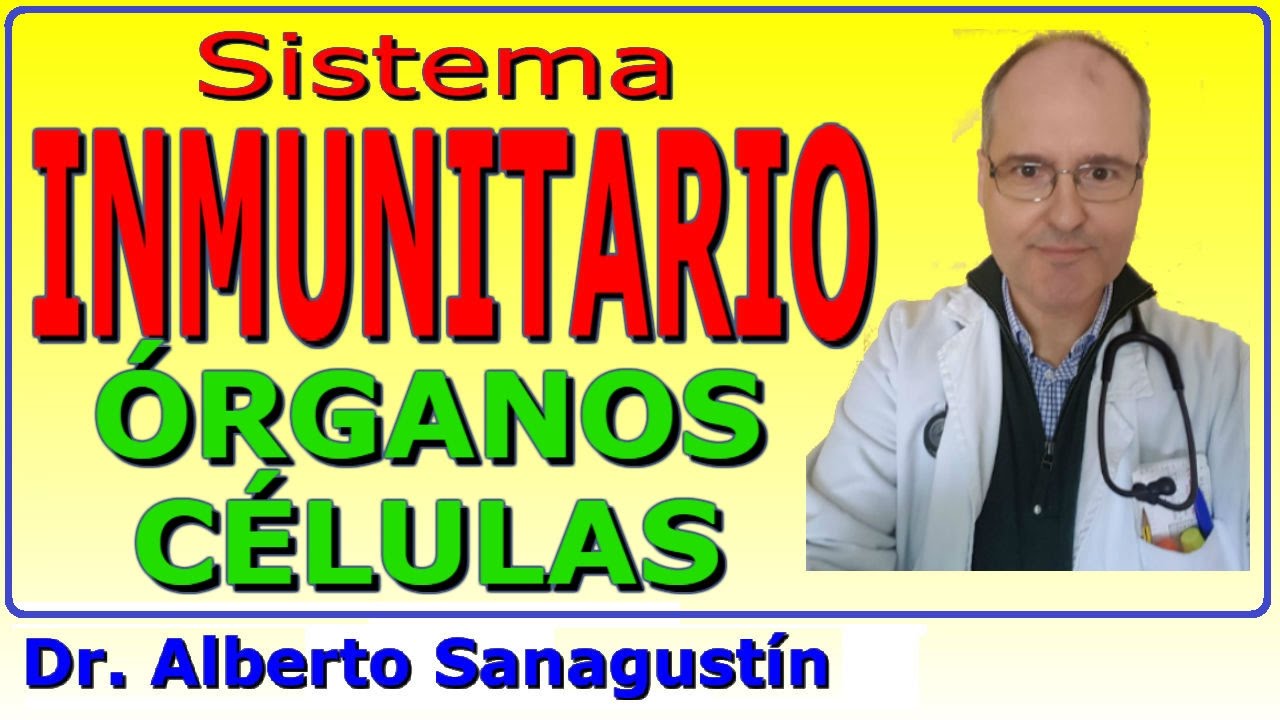 SISTEMA INMUNITARIO (ÓRGANOS Y CÉLULAS)
