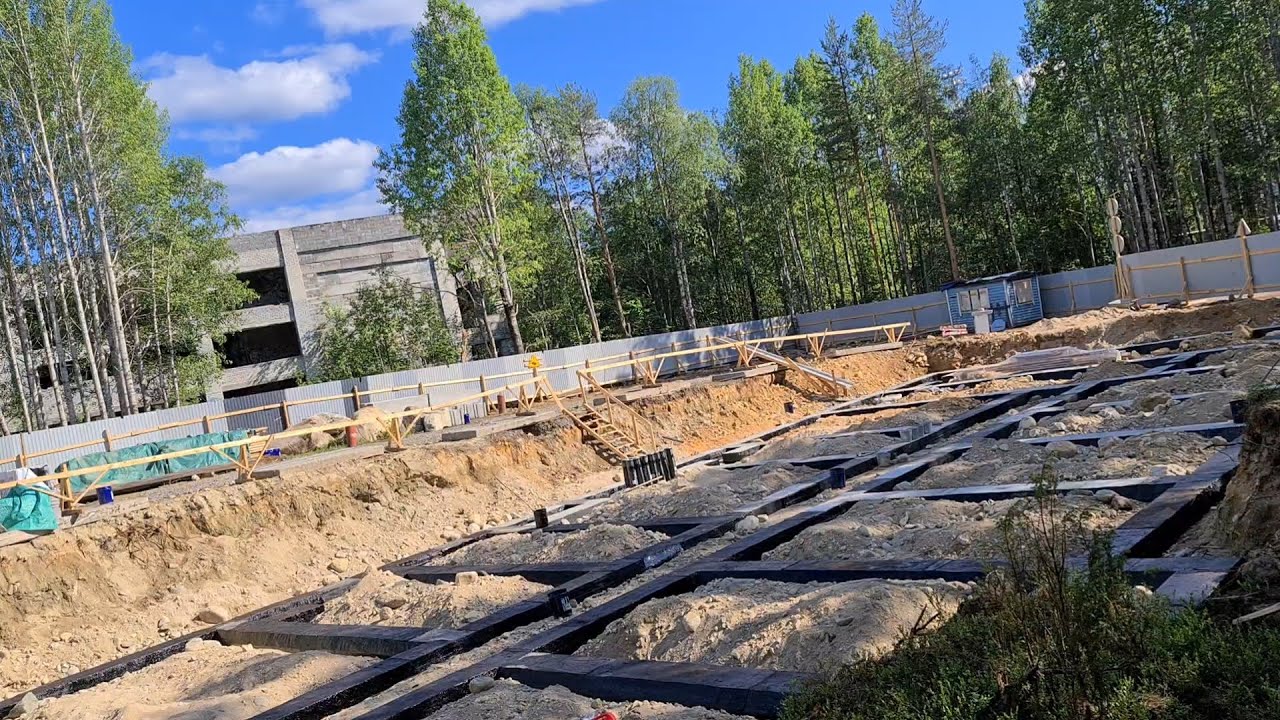 Костомукша. Лесная Рапсодия. В Костомукше вырубают лес