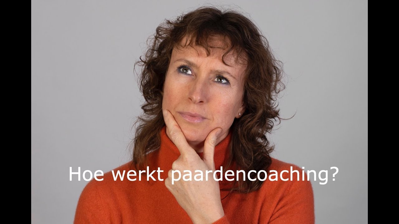 Hoe werkt paardencoaching?