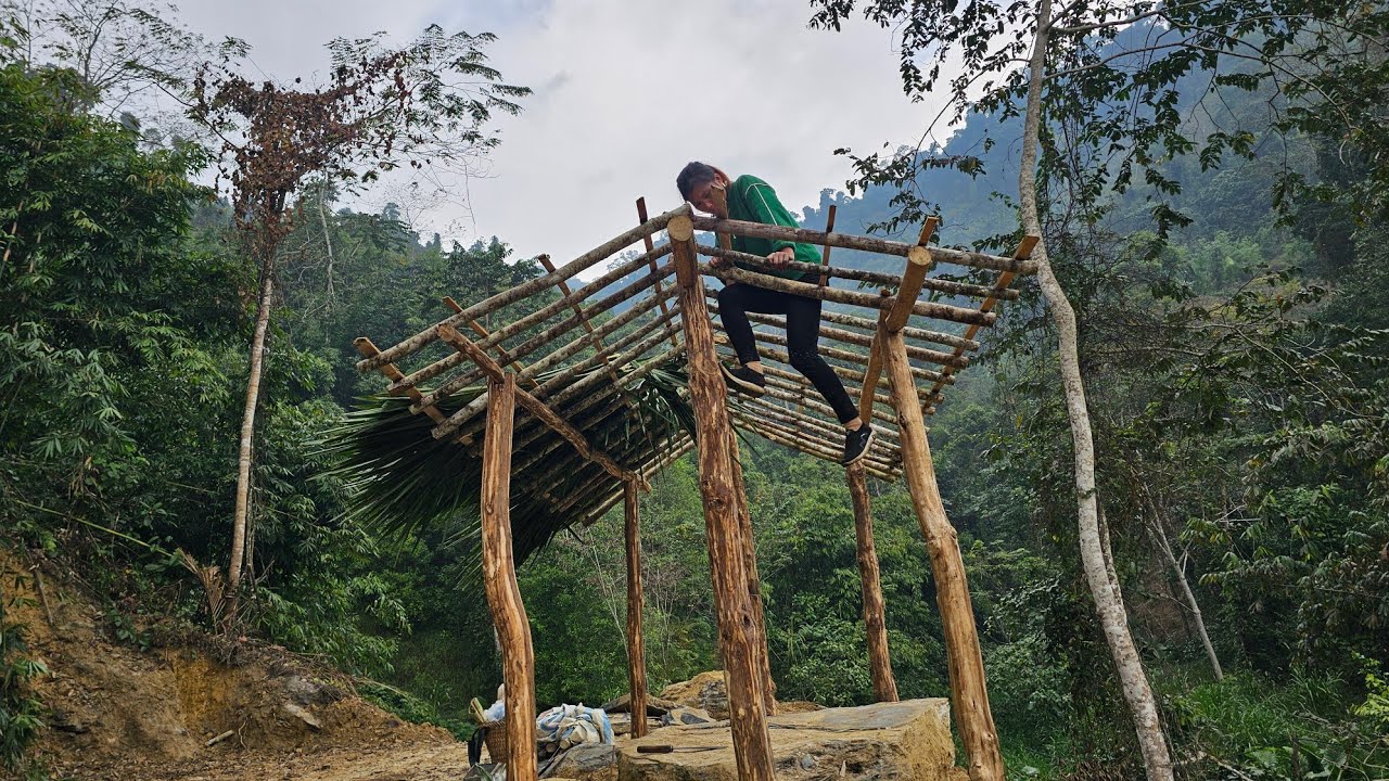 A Secretary Leaves the City to the Forest to Build a Home, Start a Farm, and Begin a New Life