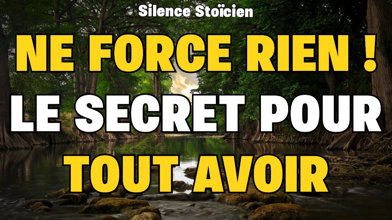 Arrête de Forcer ta Vie ! La Leçon Stoïque à Retenir 