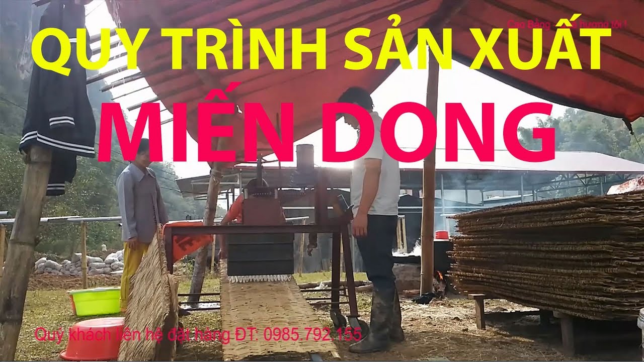 Quy Trình Sản Xuất MIẾN DONG ở Cao Bằng NTN