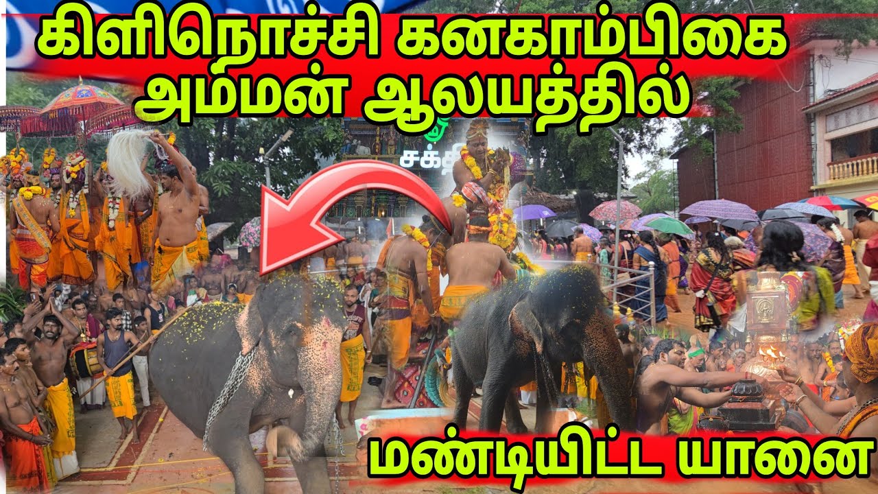 🛑 அம்மன் ஆலயத்துக்குள் திடிரென புகுந்த யானை கிளிநொச்சியில் சம்பவம் 
