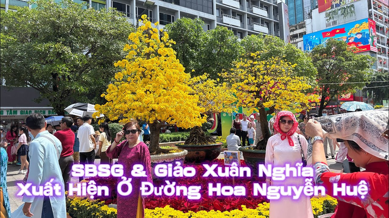 💥🐉Siêu Bông Sài Gòn & Giảo Xuân Nghĩa xuất hiện ở Đường Hoa Nguyễn Huệ 2026|Vùng Đất Rồng 
