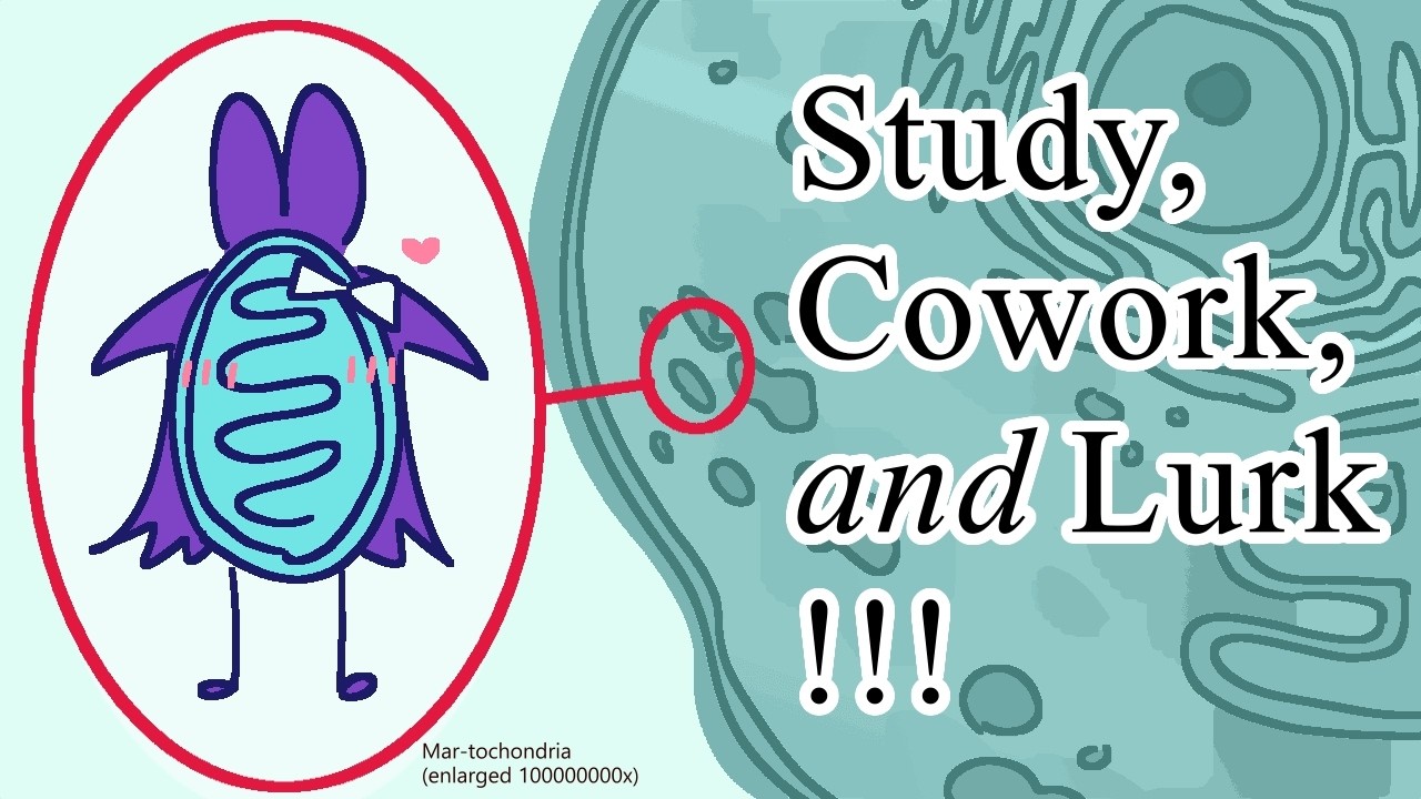 【study, cowork, and lurk】another one ✌️